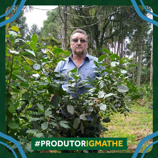Imagem do produtor de Erva-mate com IG Benedito Sant’Ana