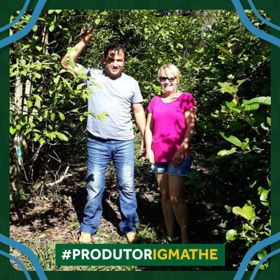 Imagem do produtor de Erva-mate com IG Diversindo Paulo Morandi