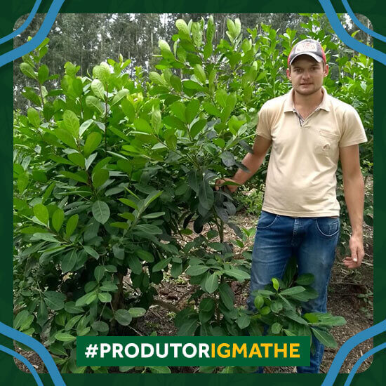 Imagem do produtor de Erva-mate com IG Lucas Eduardo Vichinieski